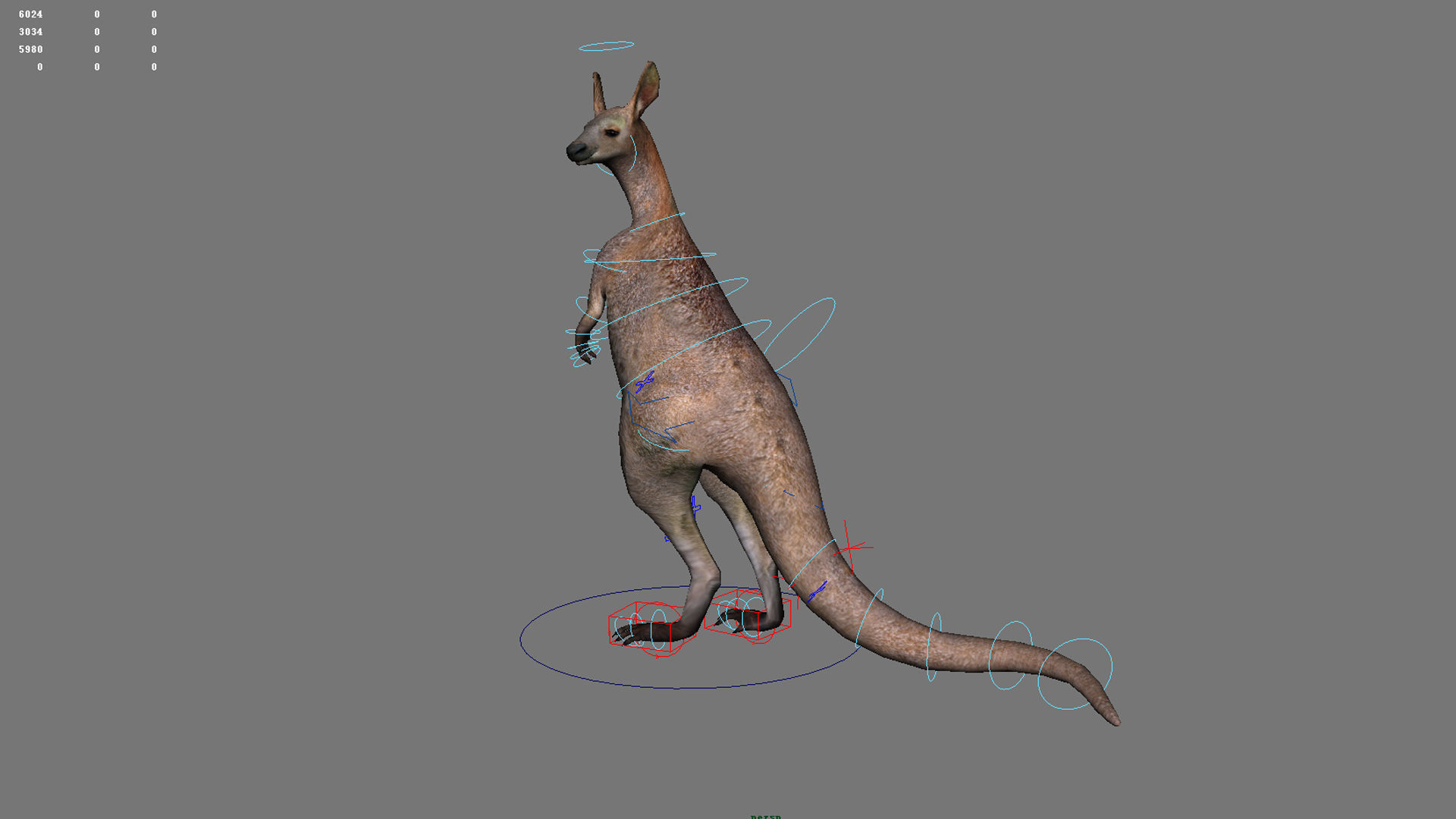 kangaroo australia wallabie red hop outback marsupial  3D model_2