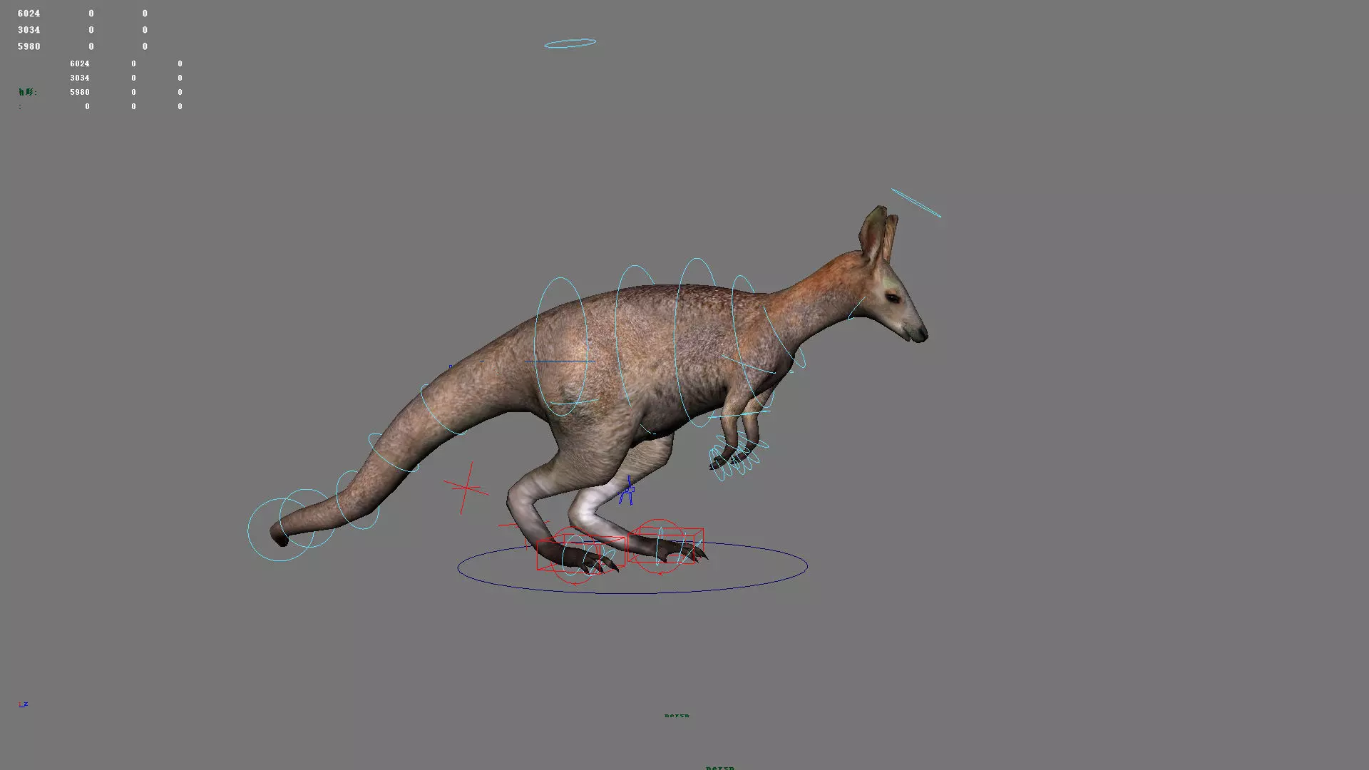 kangaroo australia wallabie red hop outback marsupial  3D model_0