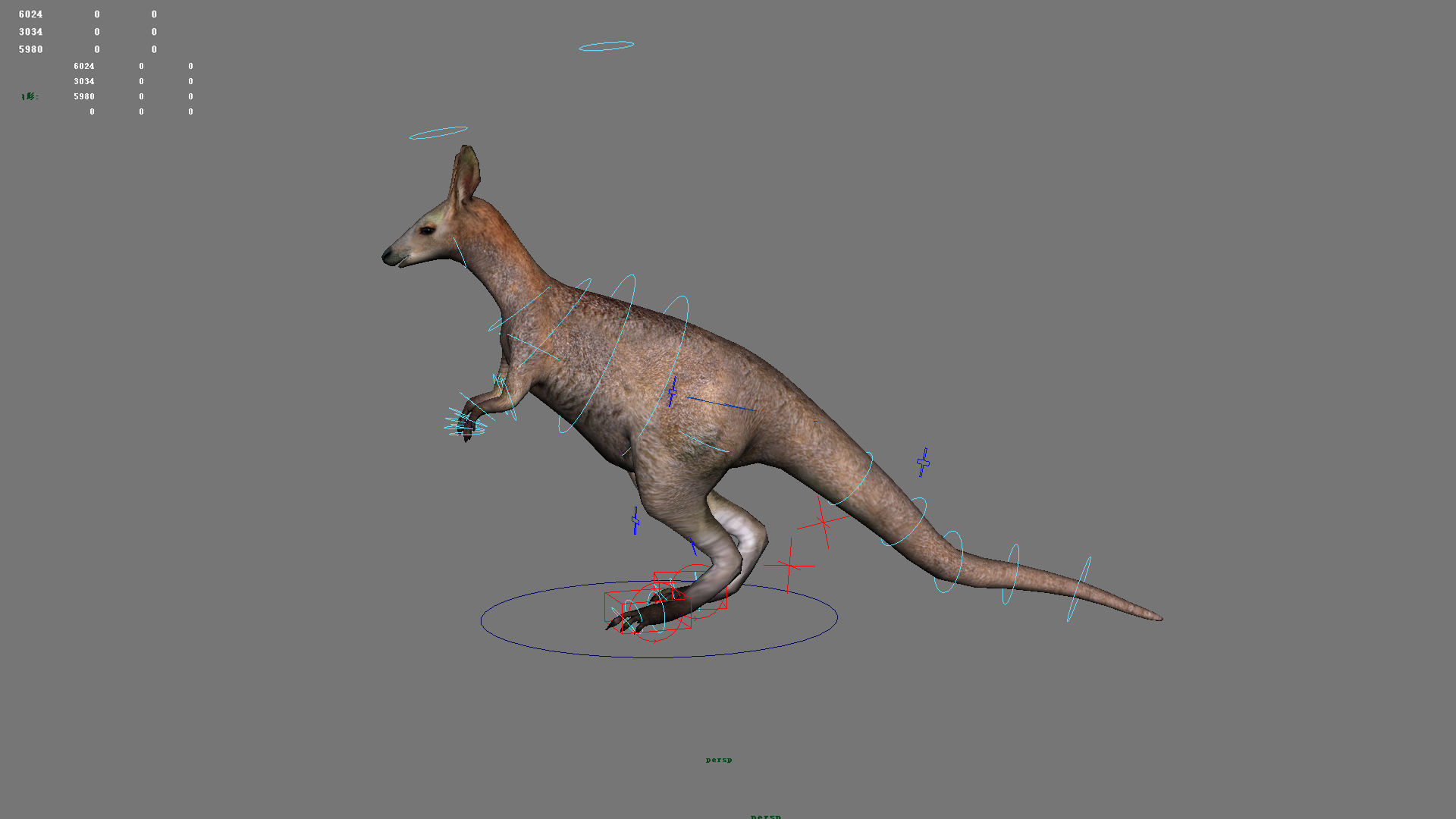 kangaroo australia wallabie red hop outback marsupial  3D model_1