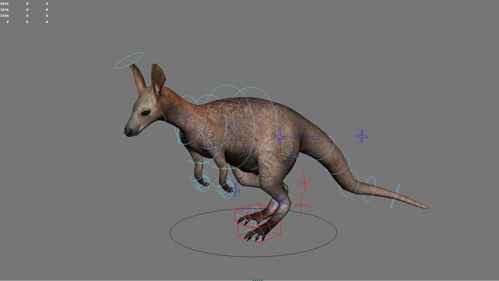 kangaroo australia wallabie red hop outback marsupial  3D model_4