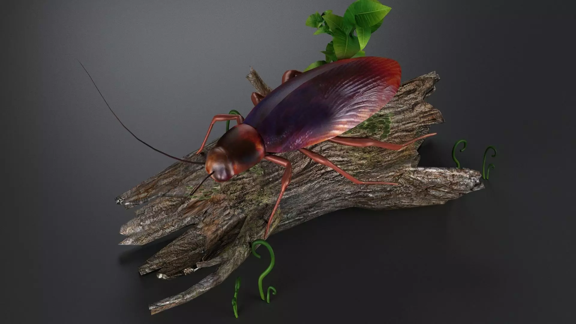 gameready cockroach insect roach bug beetle pest vermin 3D model_0