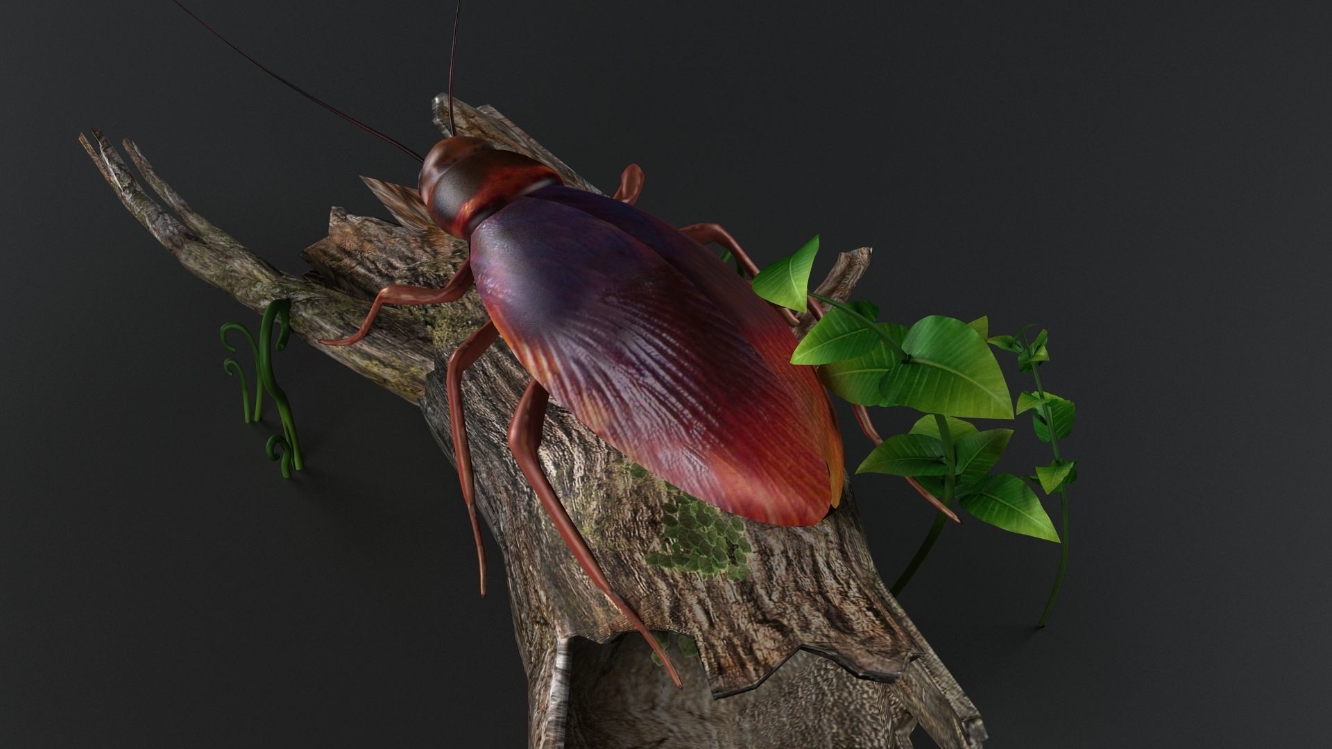 gameready cockroach insect roach bug beetle pest vermin 3D model_3