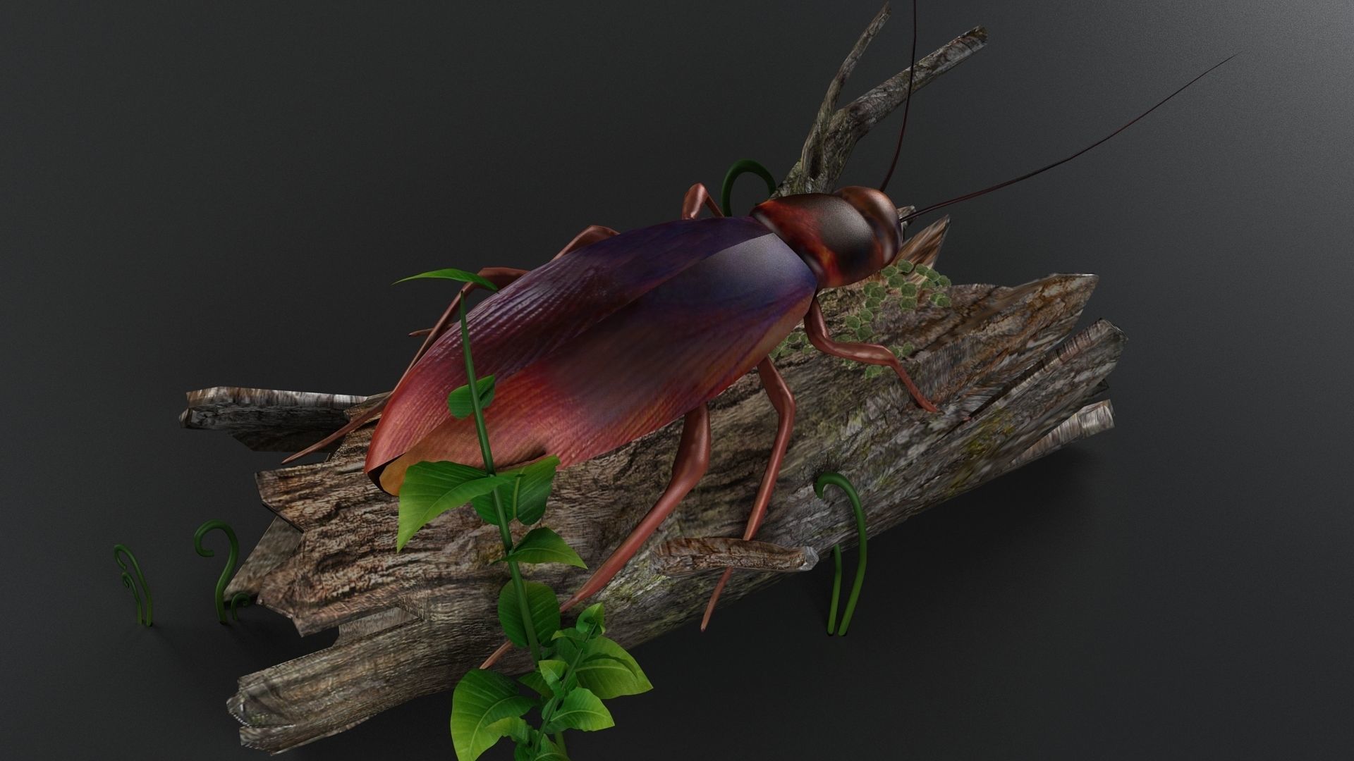 gameready cockroach insect roach bug beetle pest vermin 3D model_2