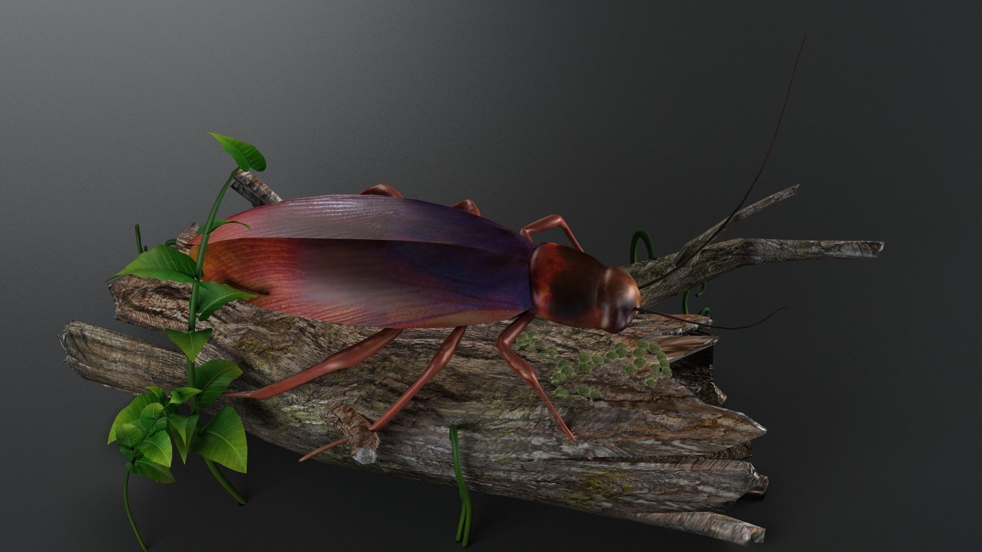 gameready cockroach insect roach bug beetle pest vermin 3D model_1