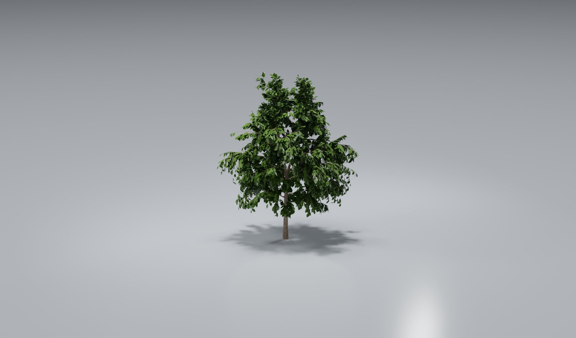 Tree set 3D model_1