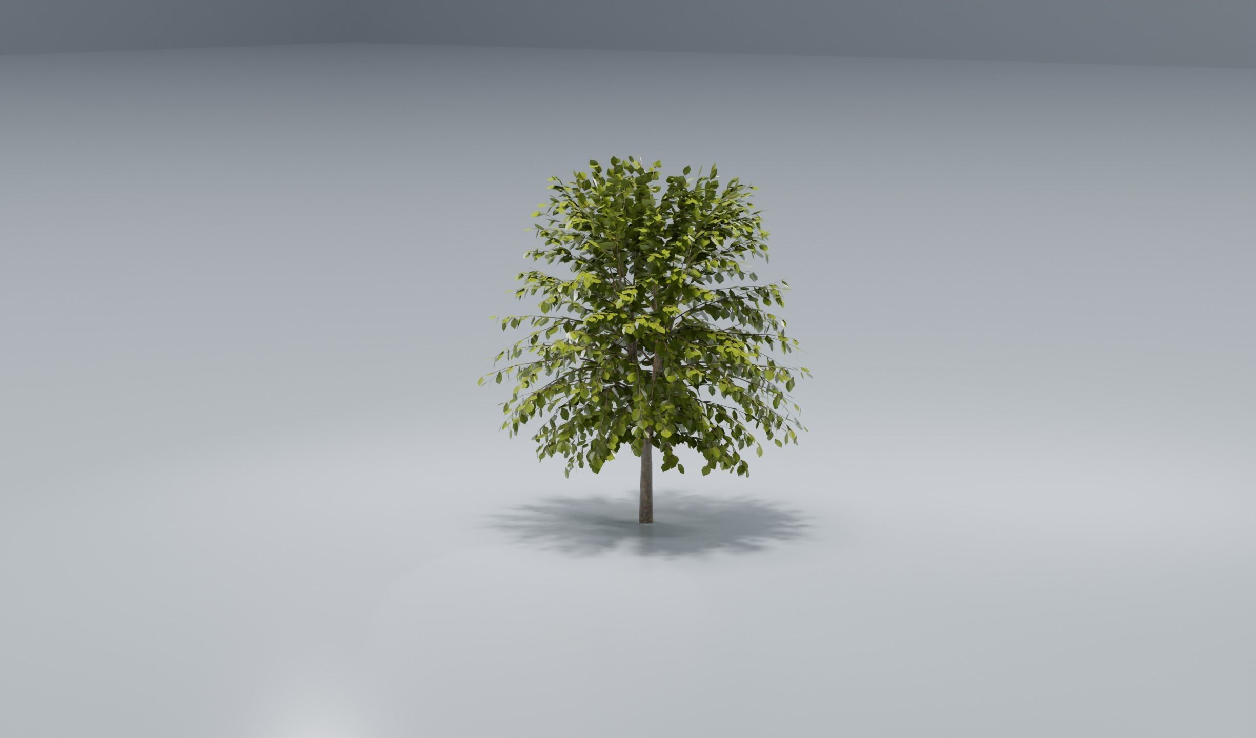Tree set 3D model_6