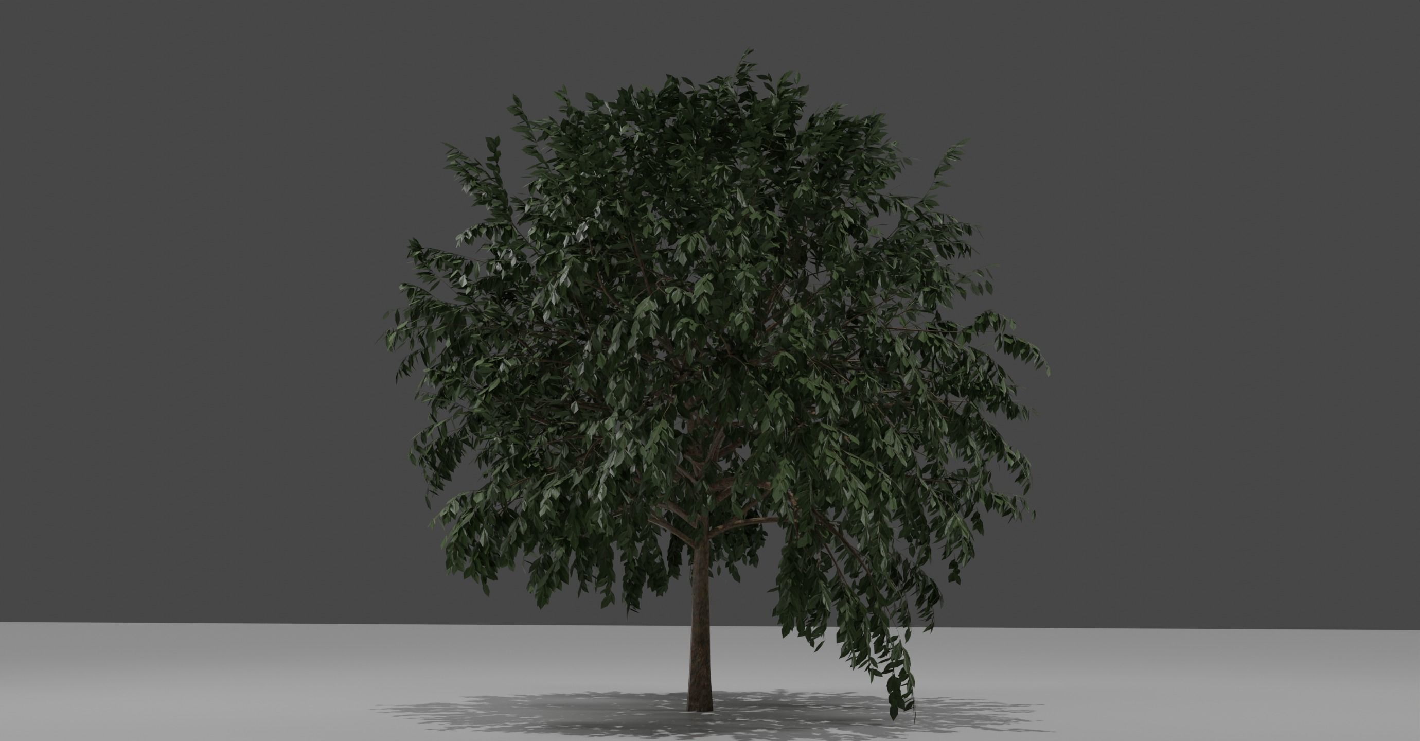 Tree set 3D model_4