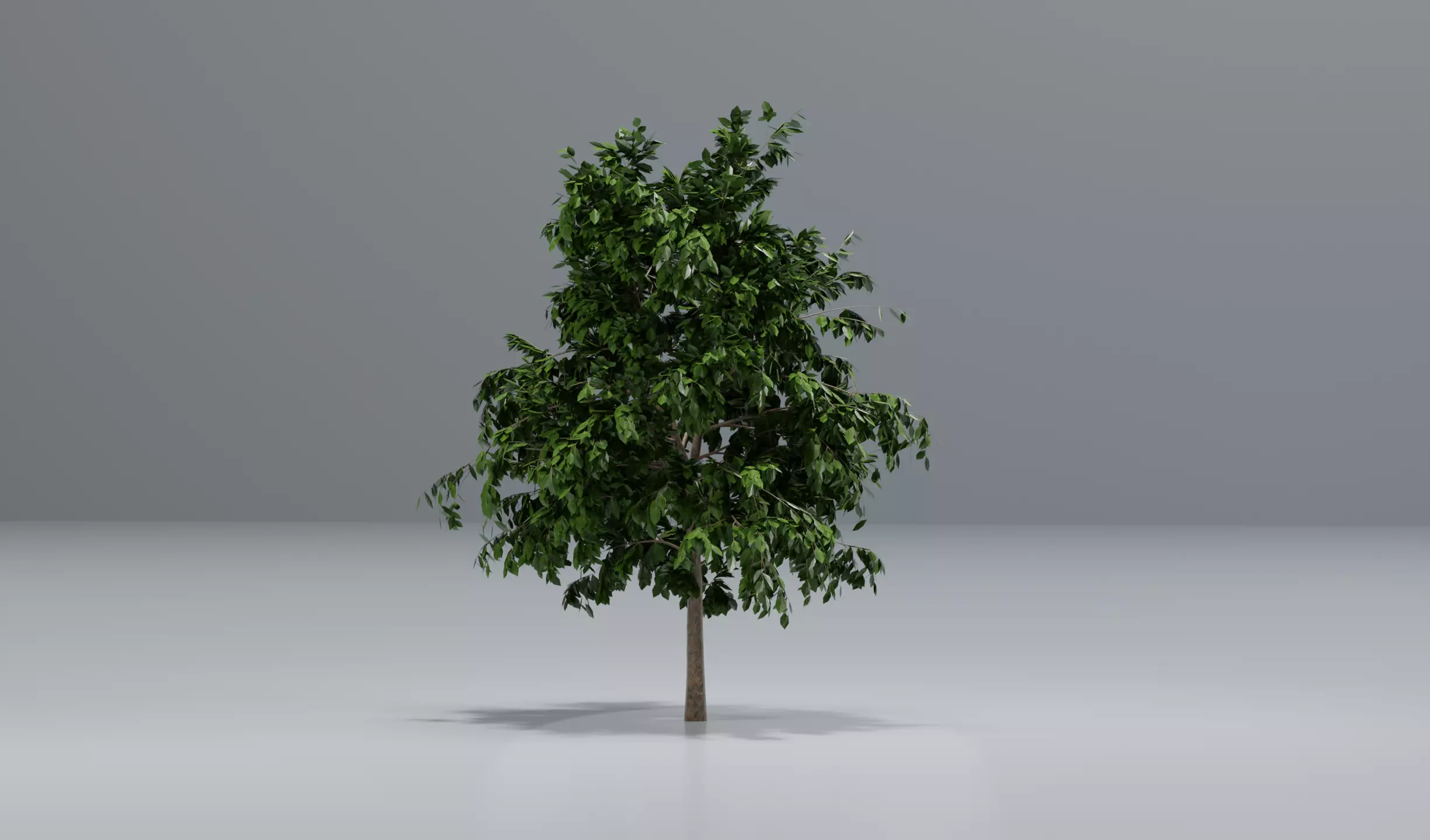 Tree set 3D model_0