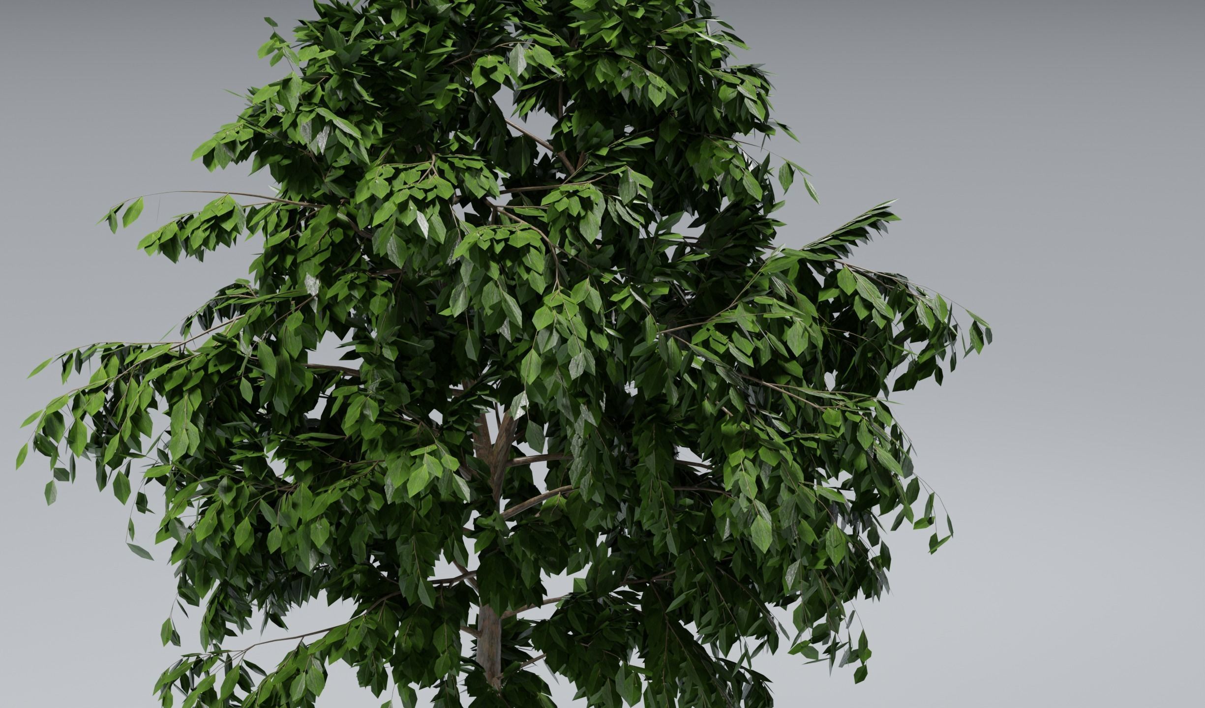 Tree set 3D model_2