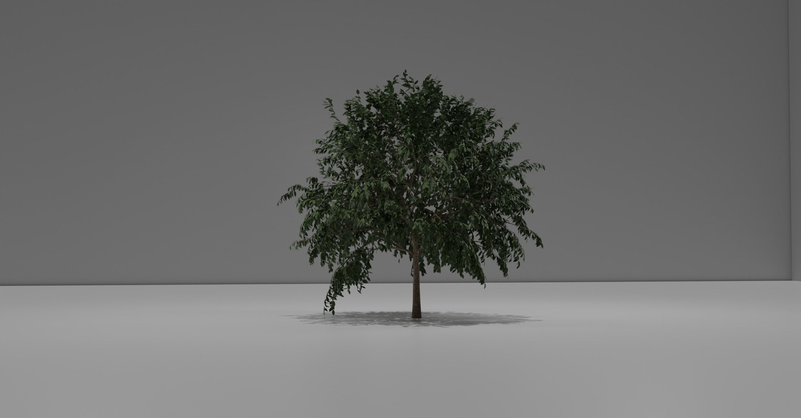 Tree set 3D model_3