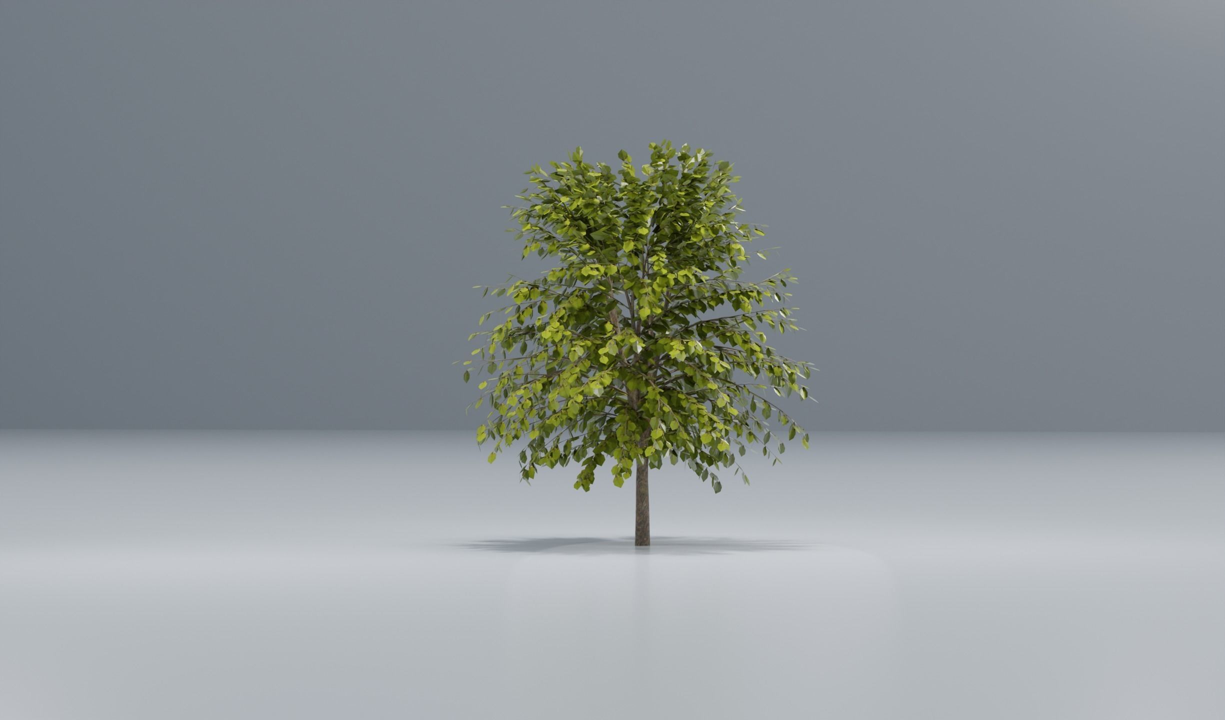 Tree set 3D model_5