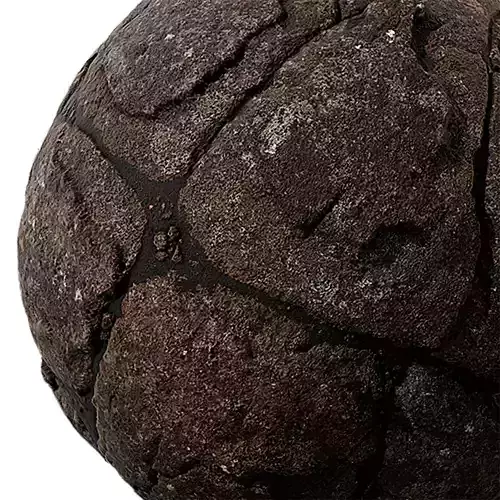 Rock Seamless Texture 2K - EXR 5 - JPG 5 Texture 