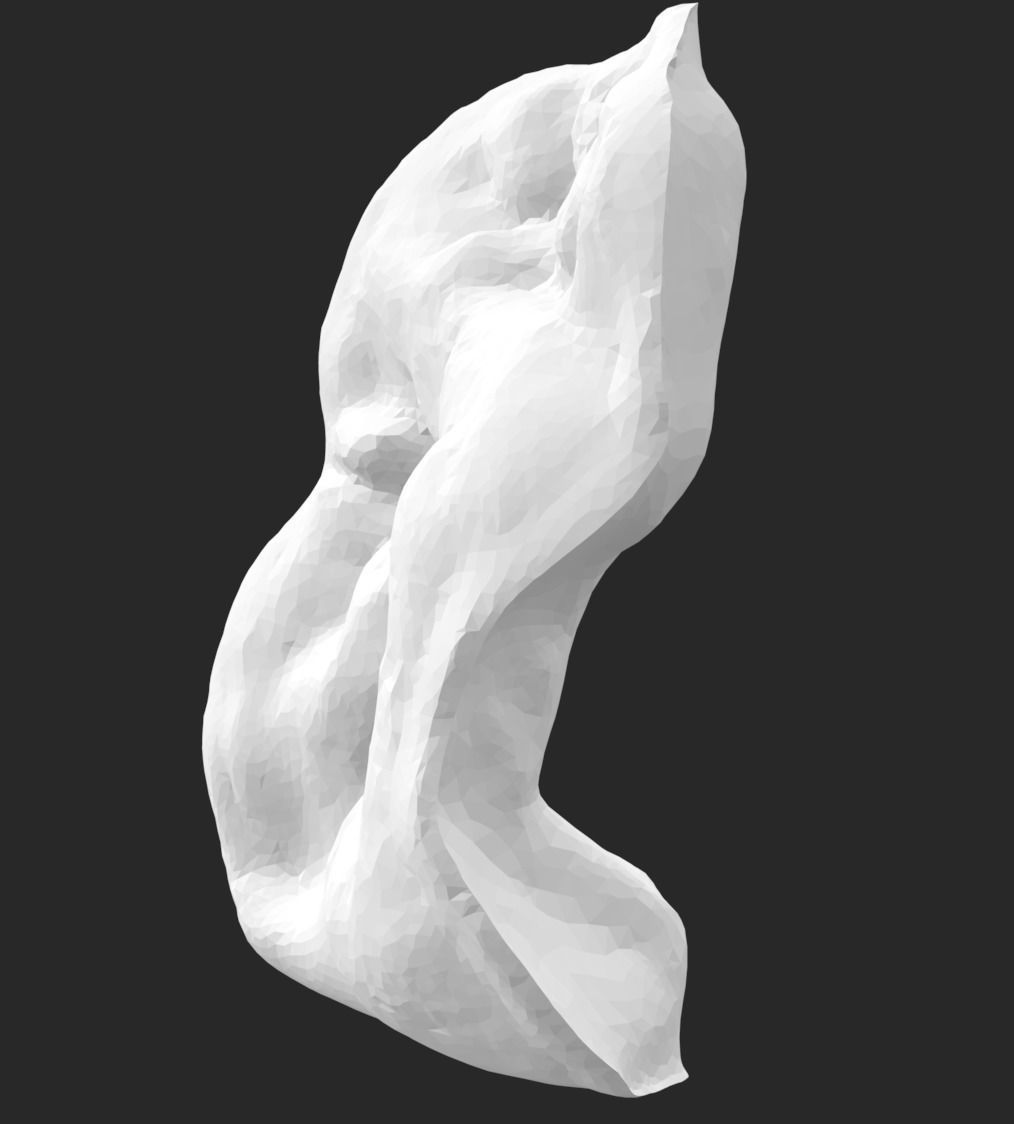 DENTAL MULTIPURPOSE MODEL - ZOCALO DENTAL STRAUMANN NC 3D print model_1