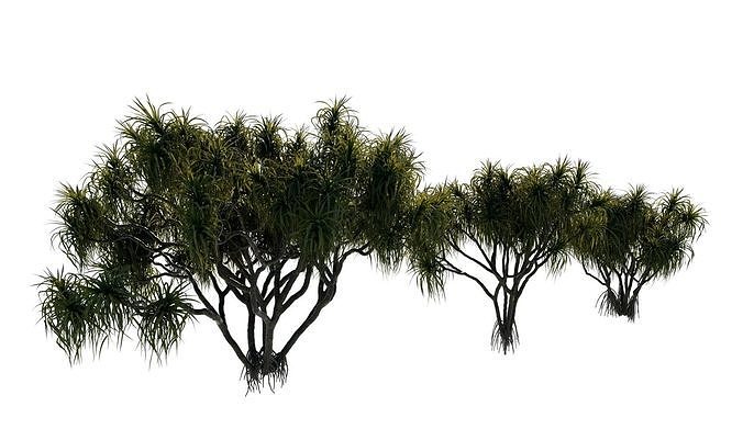 Tree 3d Model 3D model