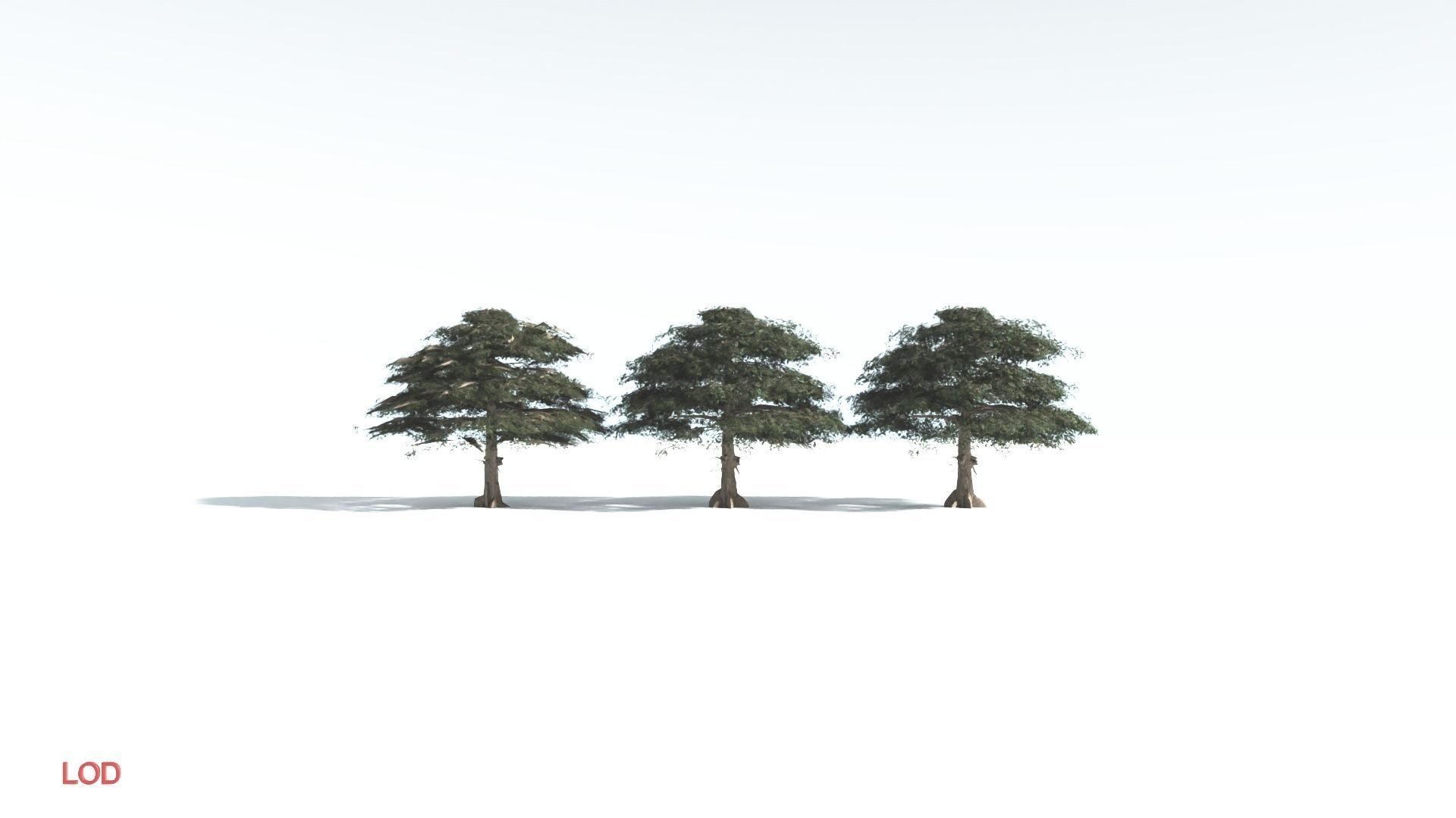EVERYPlant Sea Almond 4 --15 Models-- 3D model_4