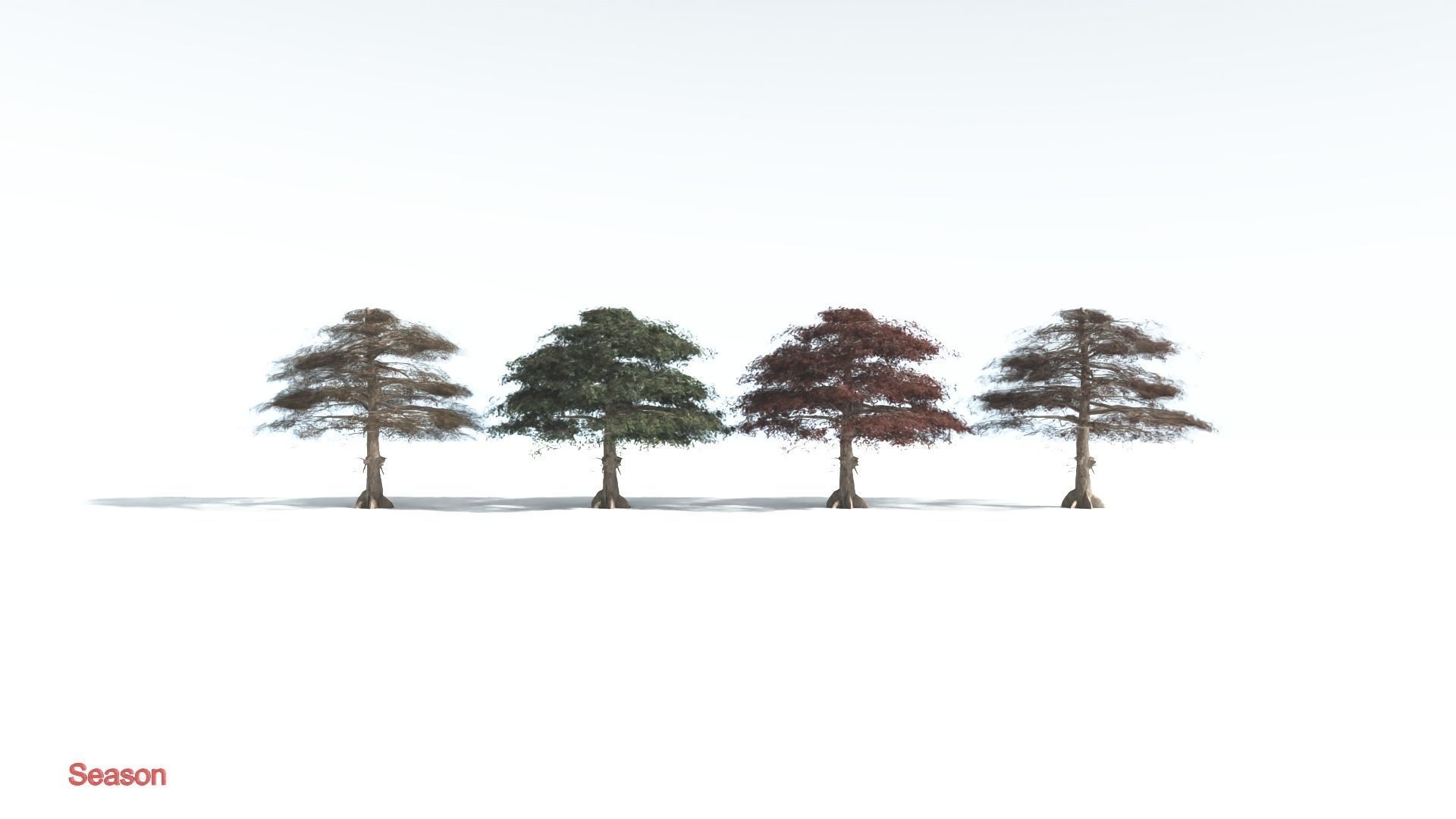 EVERYPlant Sea Almond 4 --15 Models-- 3D model_1