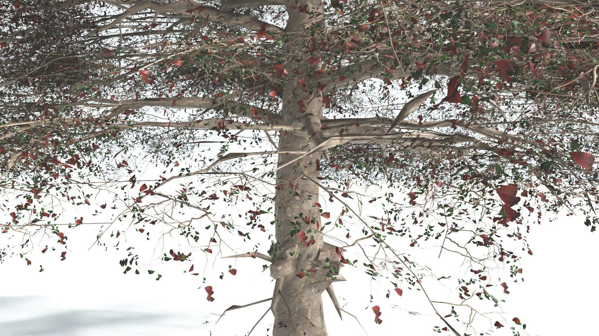 EVERYPlant Sea Almond 4 --15 Models-- 3D model_8