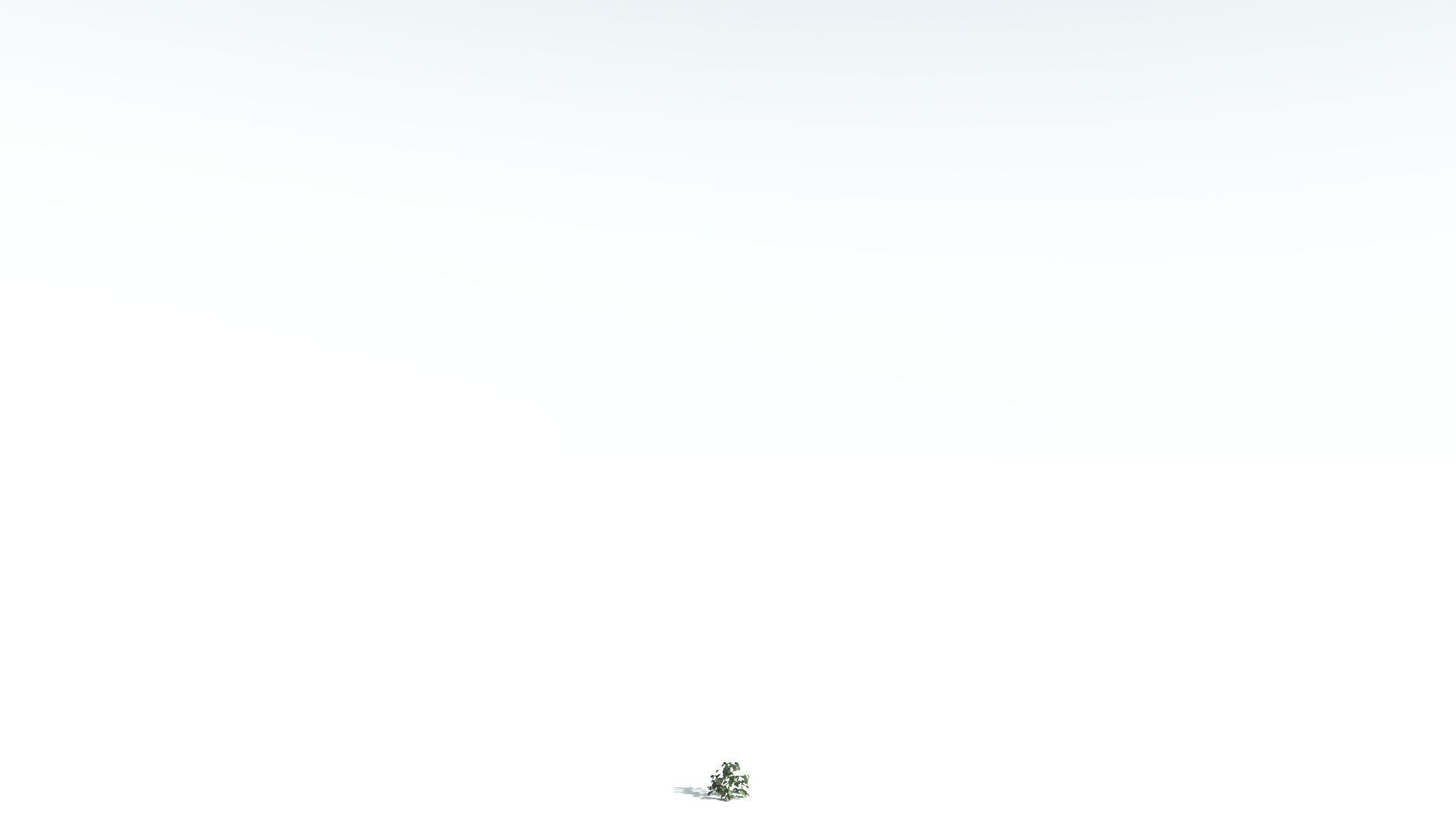 EVERYPlant Sea Almond 4 --15 Models-- 3D model_29