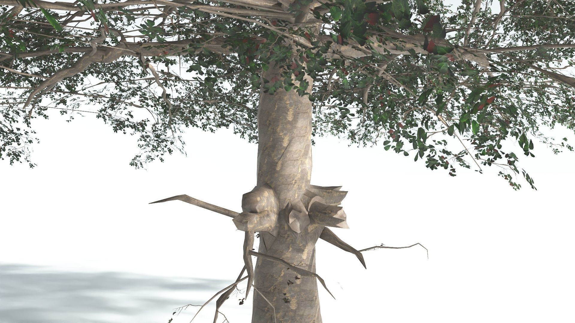 EVERYPlant Sea Almond 4 --15 Models-- 3D model_24