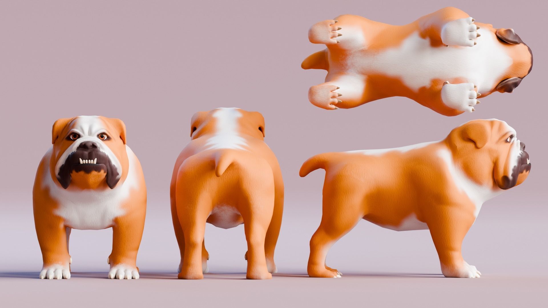 Low poly - Stylized dog - Bulldog Low-poly 3D model_4