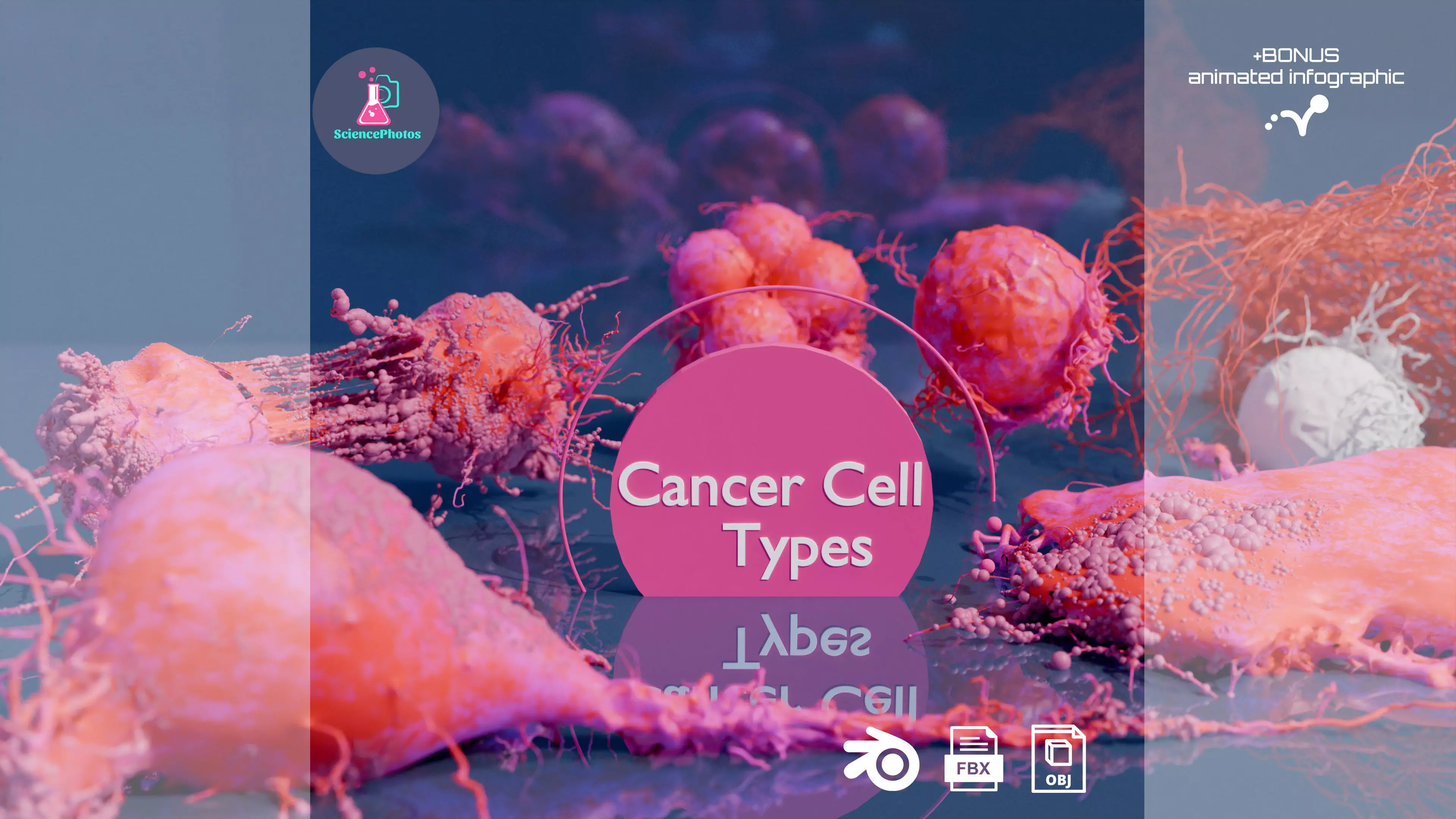 Cancer Cells 3D model with BONUS Animated Infographic 3D model