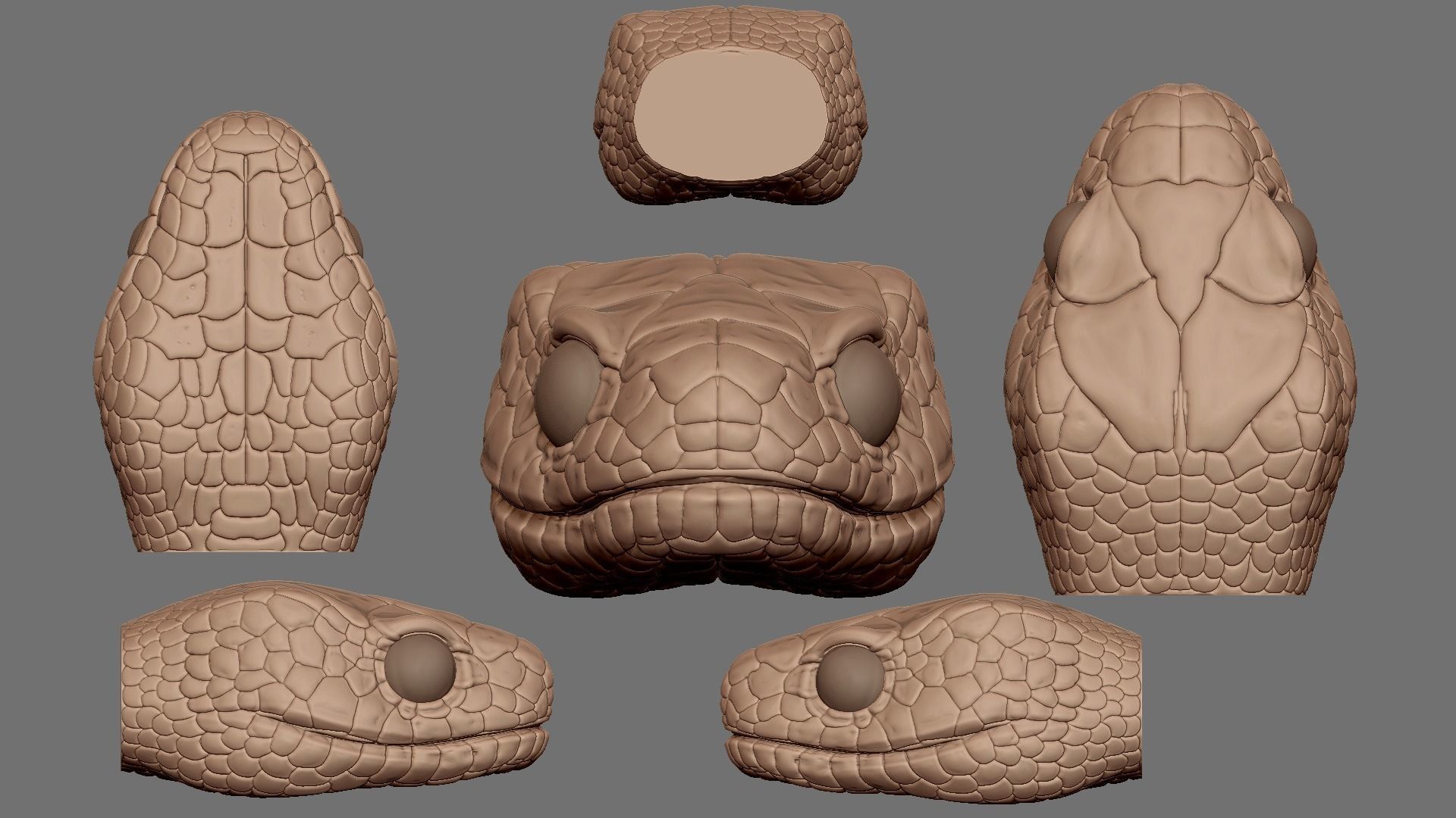 highly detailed Snake head 3D model_1
