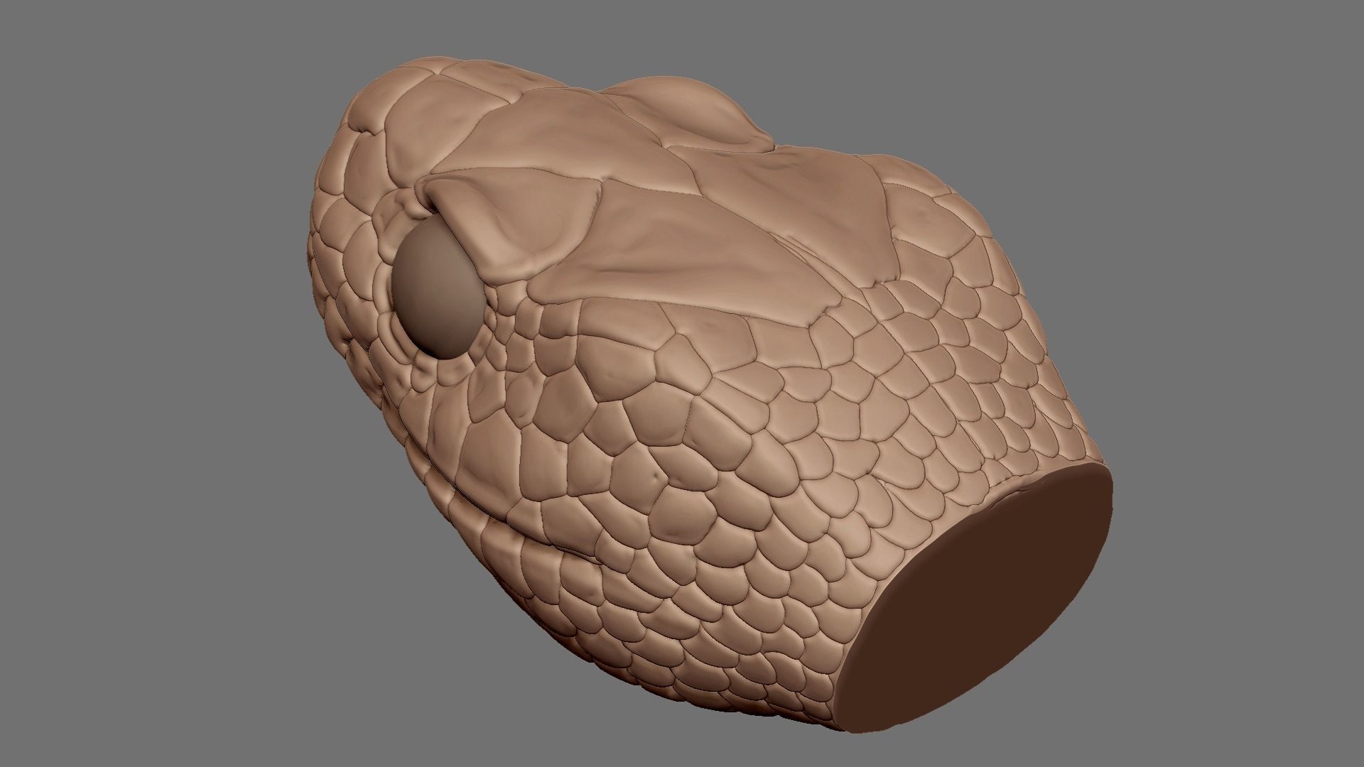 highly detailed Snake head 3D model_5