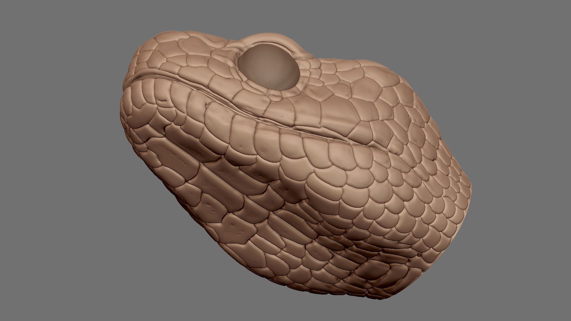 highly detailed Snake head 3D model_4