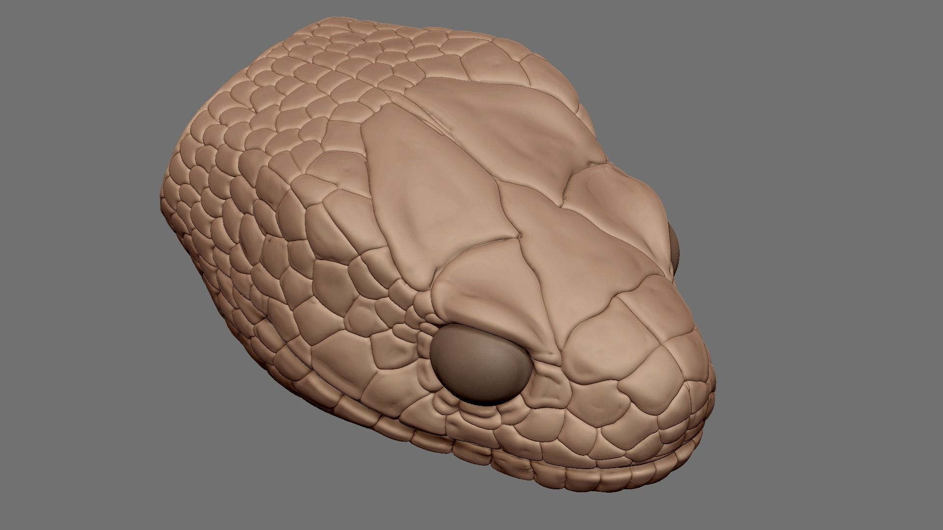 highly detailed Snake head 3D model_3