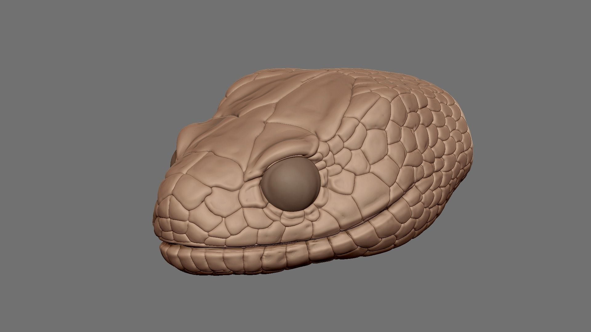 highly detailed Snake head 3D model_2