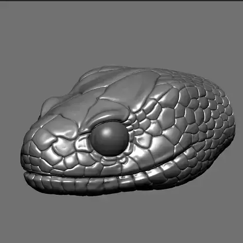 highly detailed Snake head