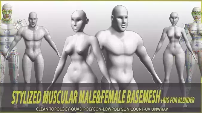 stylized muscular male and female basemesh