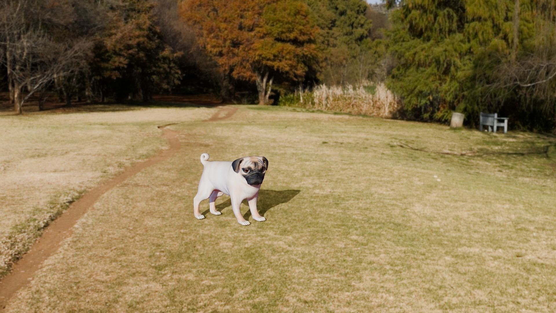 Low poly - Stylized dog - Pug Low-poly 3D model_13