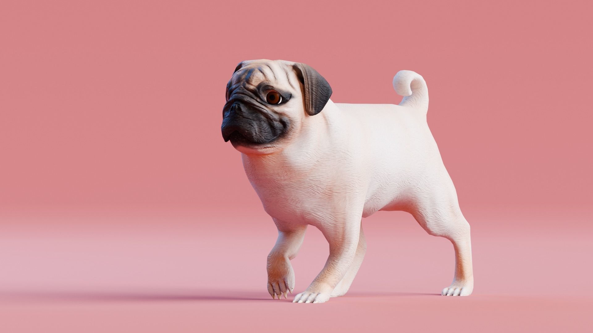 Low poly - Stylized dog - Pug Low-poly 3D model_2