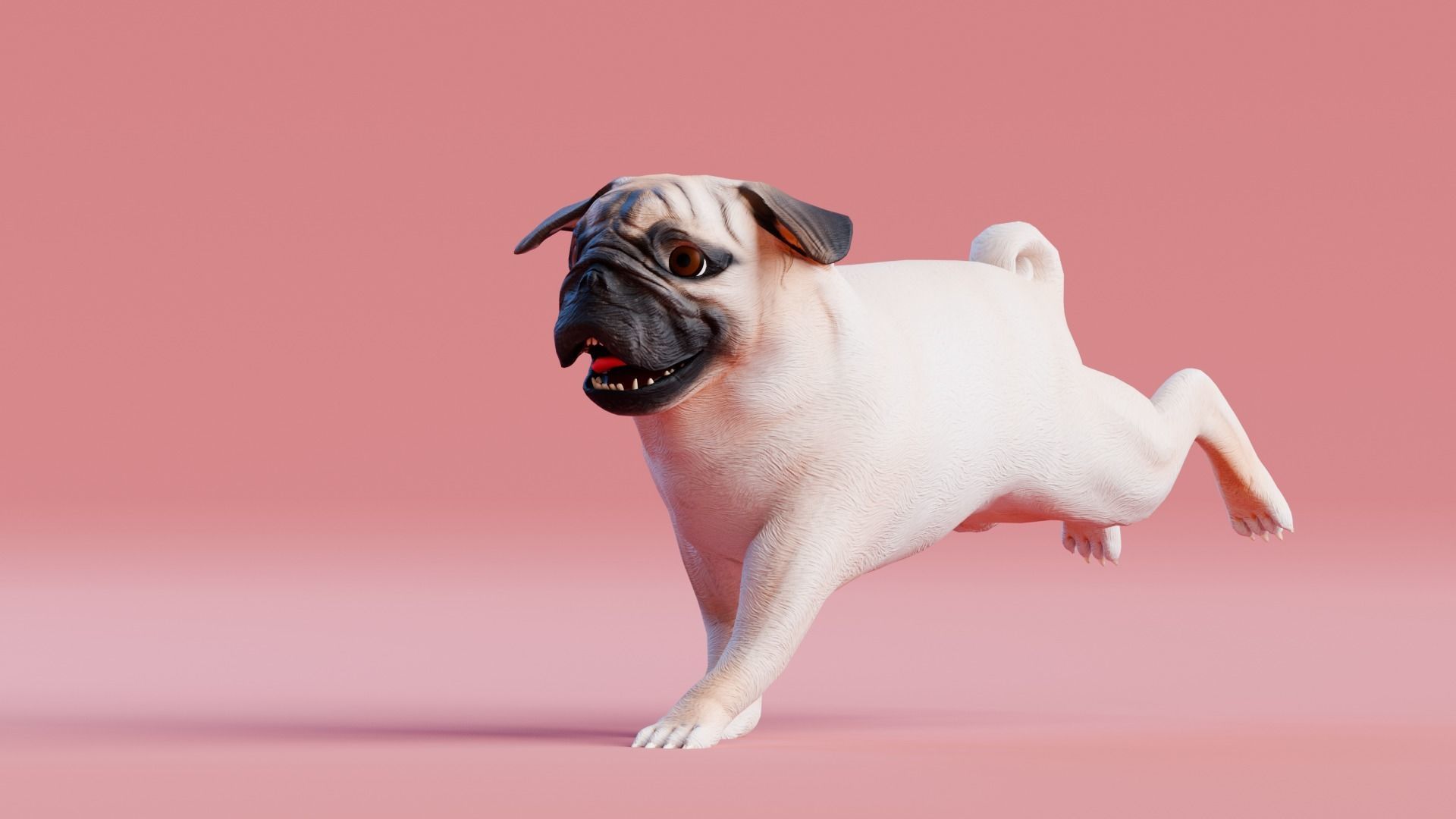 Low poly - Stylized dog - Pug Low-poly 3D model_3