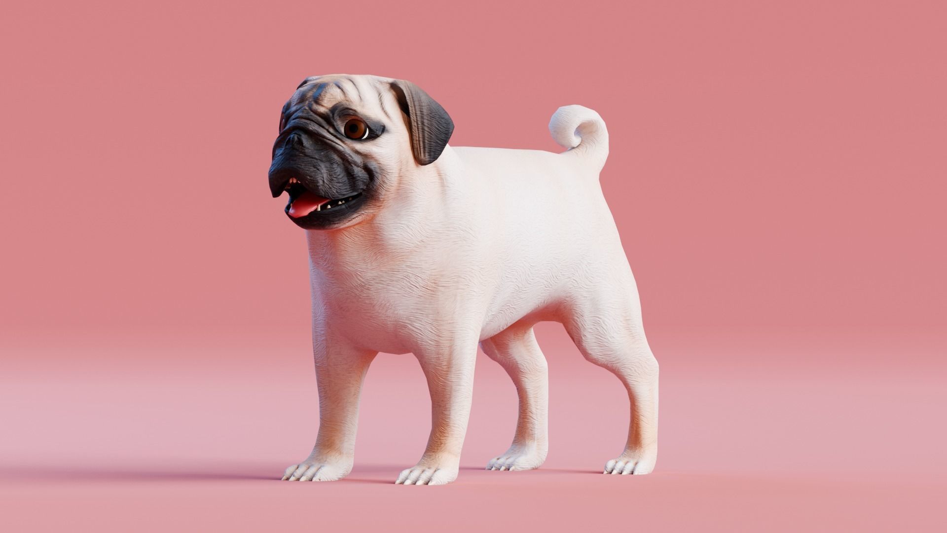 Low poly - Stylized dog - Pug Low-poly 3D model_4