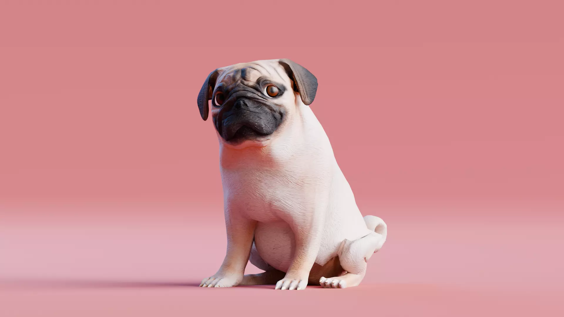 Low poly - Stylized dog - Pug Low-poly 3D model_0