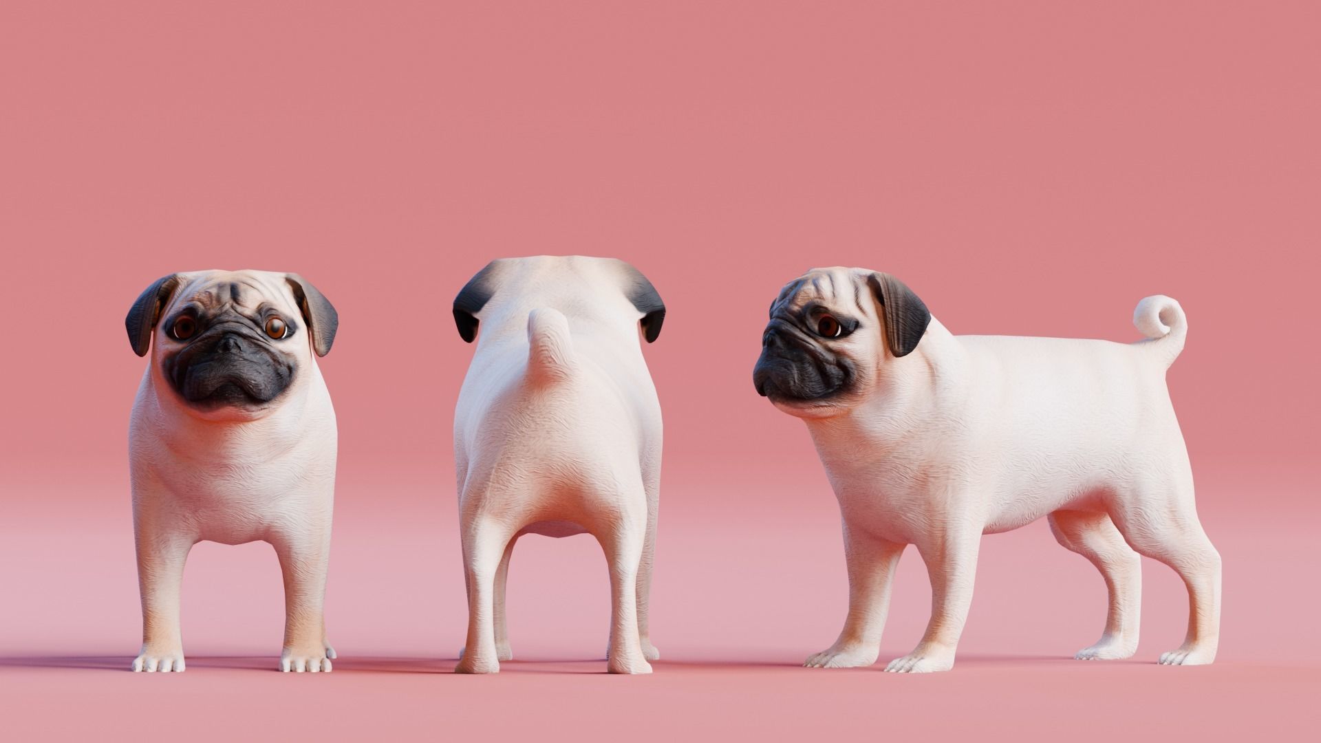 Low poly - Stylized dog - Pug Low-poly 3D model_1