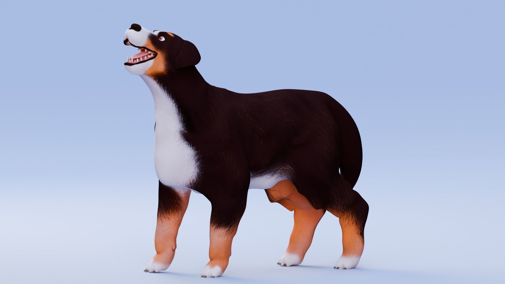 Low poly - Stylized dog - Bernese Mountain Dog Low-poly 3D model_2