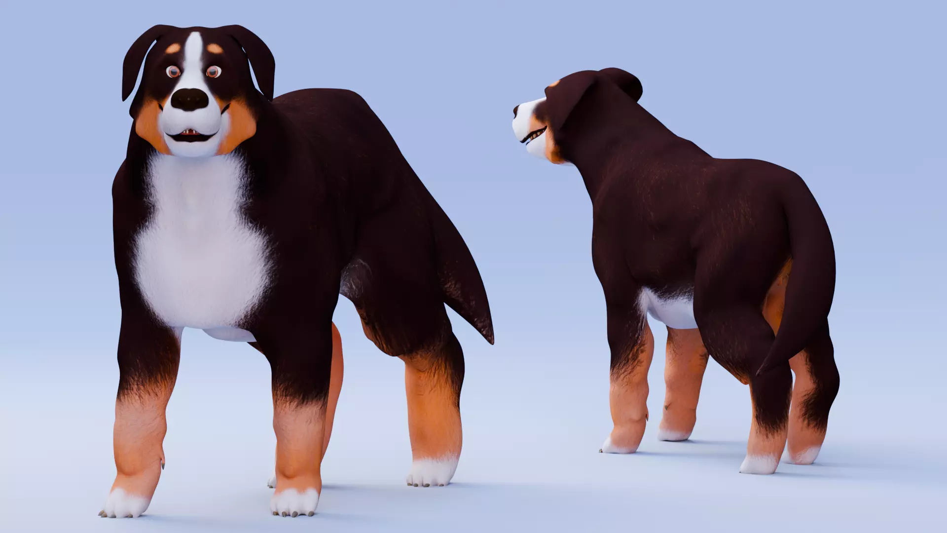 Low poly - Stylized dog - Bernese Mountain Dog Low-poly 3D model_0