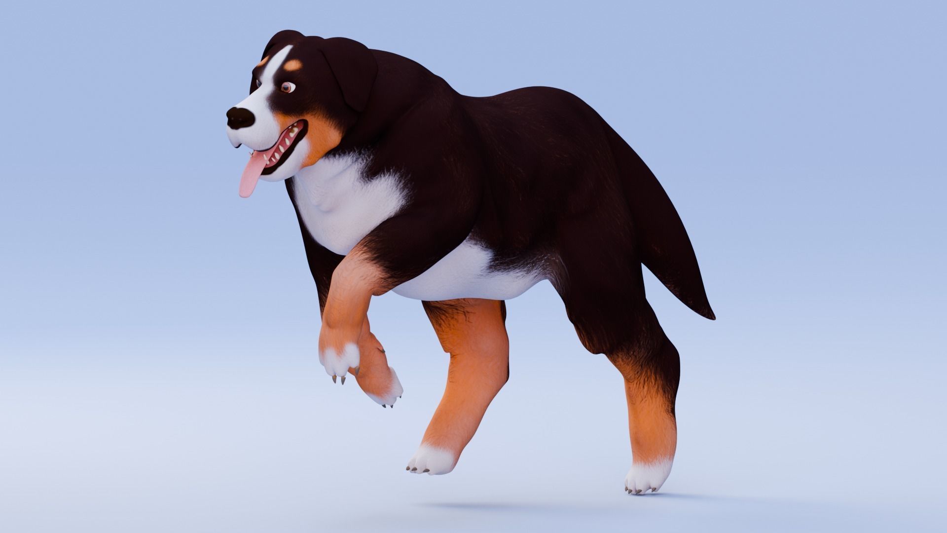 Low poly - Stylized dog - Bernese Mountain Dog Low-poly 3D model_4