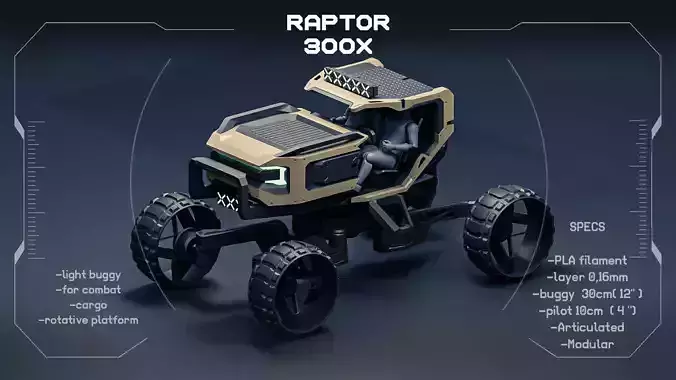 Raptor 300x Buggy 