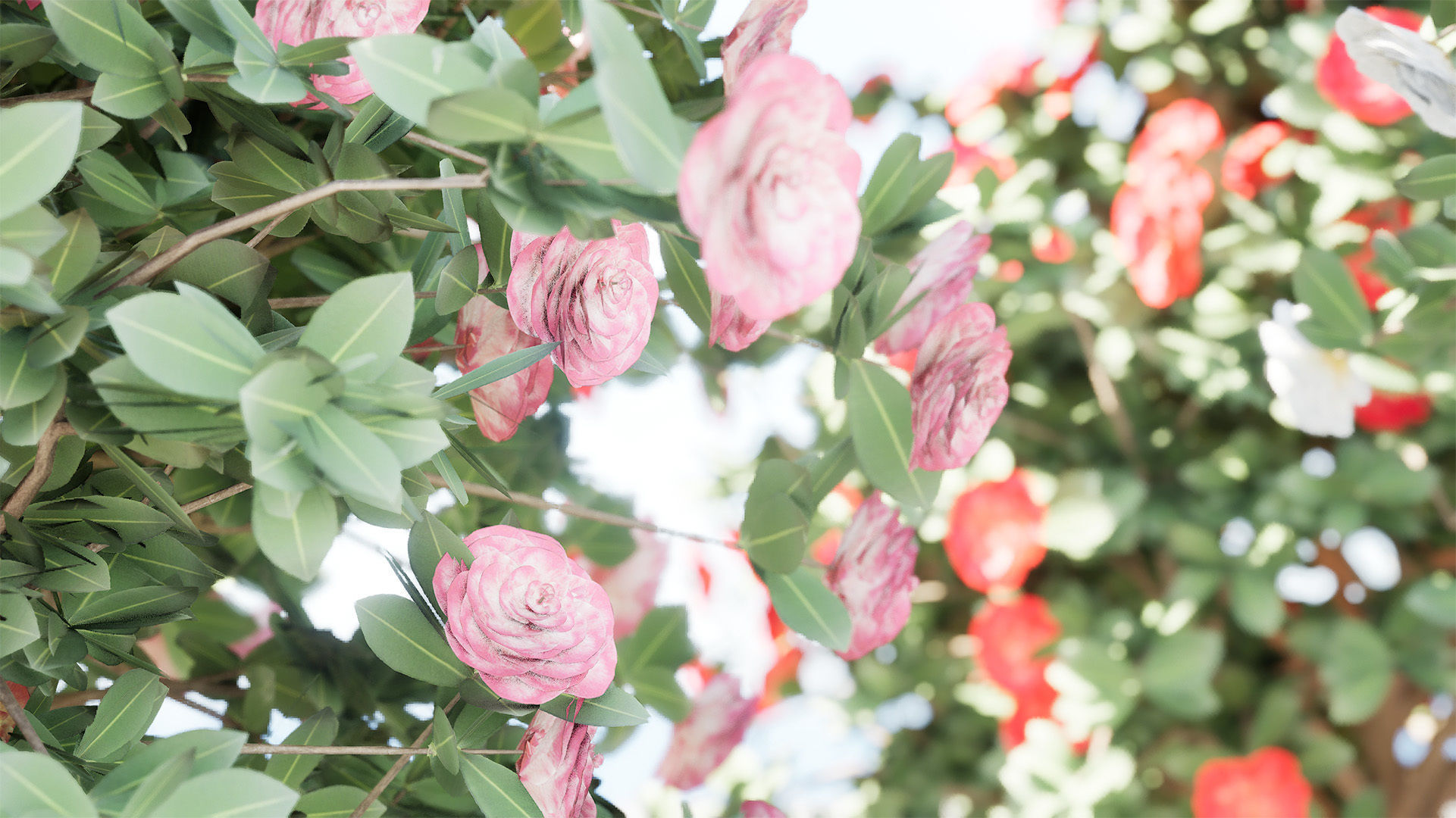 3D Camellia Flower Bush - Realistic Elegance for Your Designs Low-poly 3D model_3