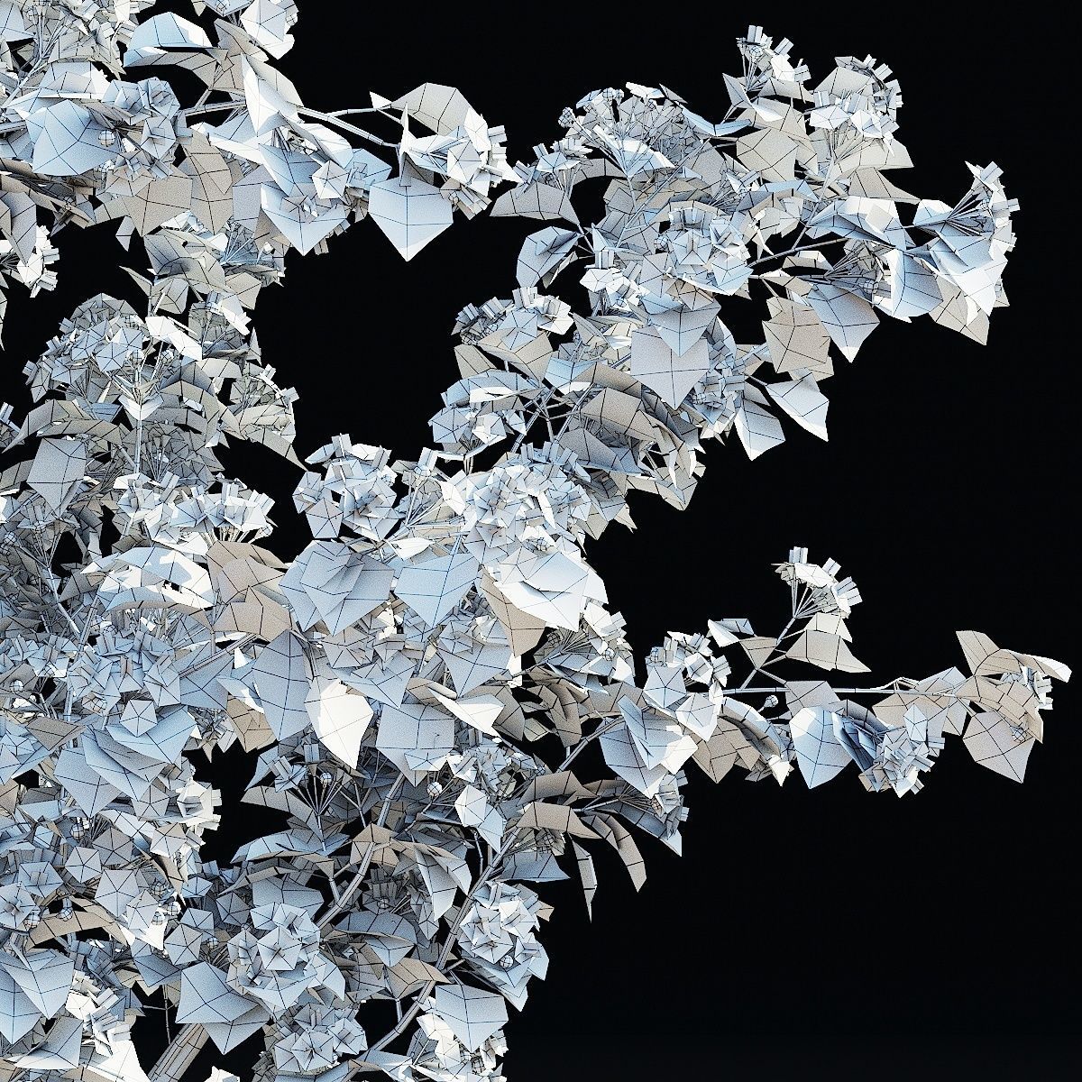 Crataegus x media Pauls Scarlet trees 3D model_2