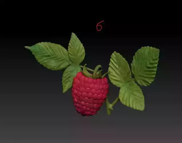Raspberry 3D print model