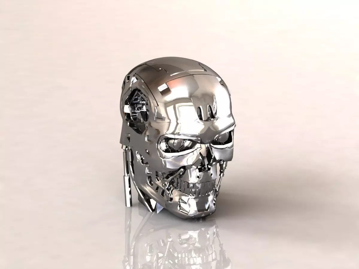 Terminator T-800 Skull Bust 3D print model_0