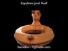 Capybara Float pool Low-poly 3D model_1