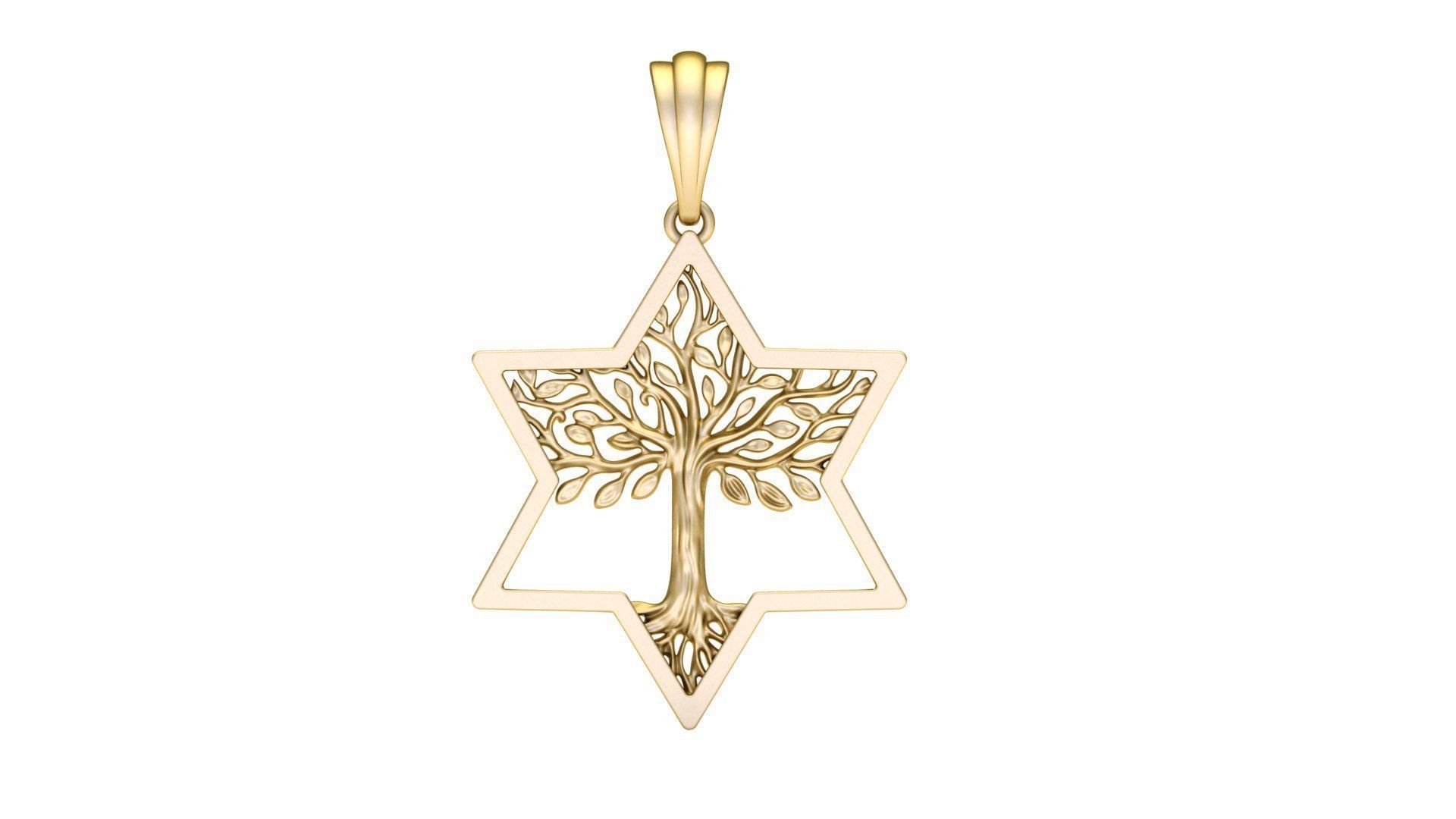 Tree of Life Star of David Pendant 30 mm 3D print model_1