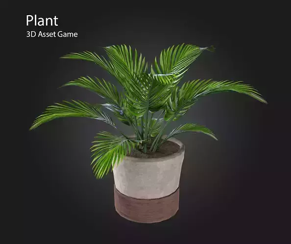 Plant V5