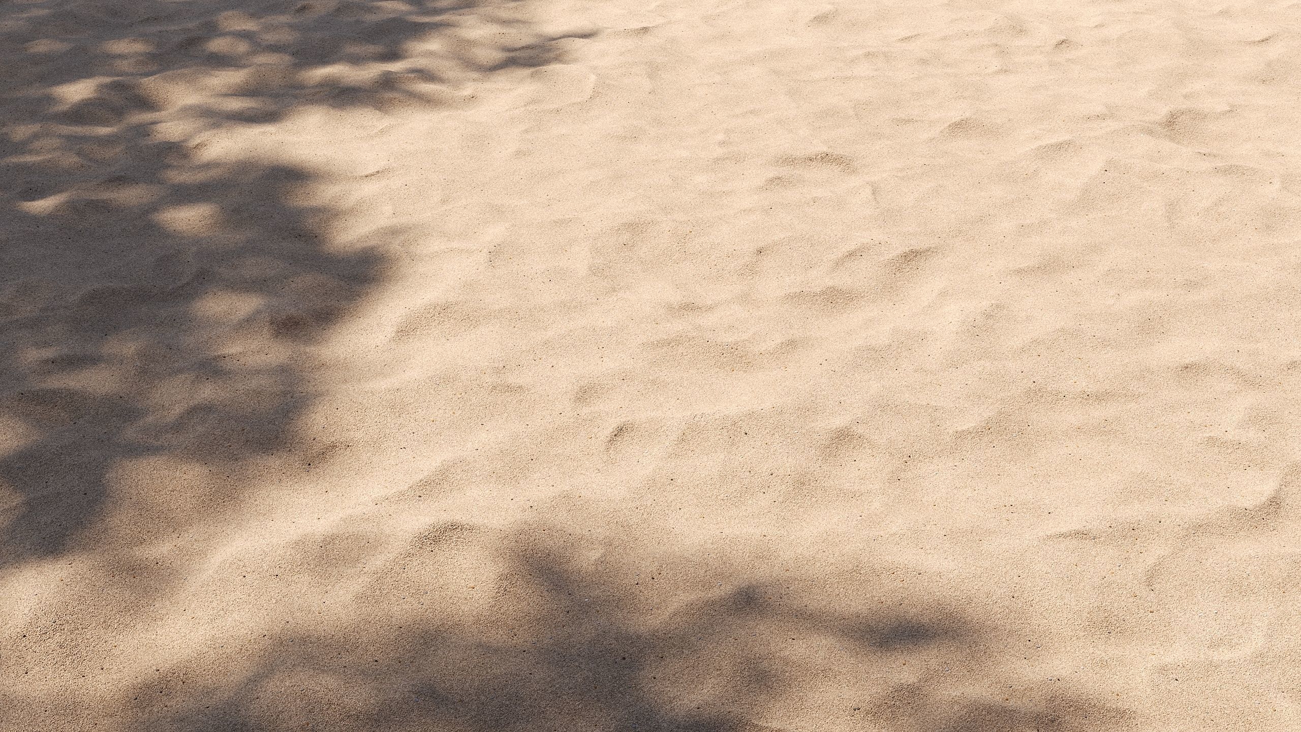 Sand 01 Texture_2